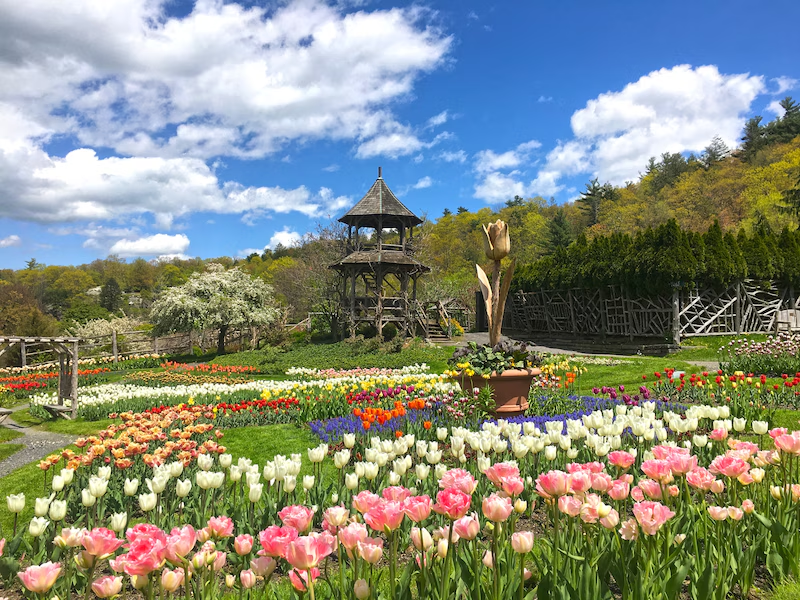 Mohonk Mountain House Tulip Festival | Marbletown