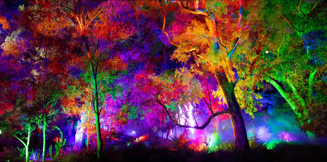 Perth Kings Park Light Show | Kings Park