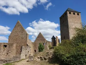 Lichtenberg Castle