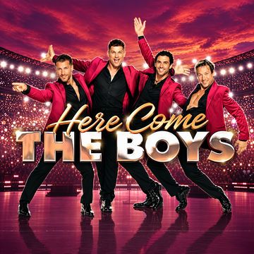 <Here Come The Boys> Tour
