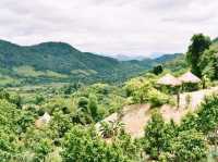 Back to nature