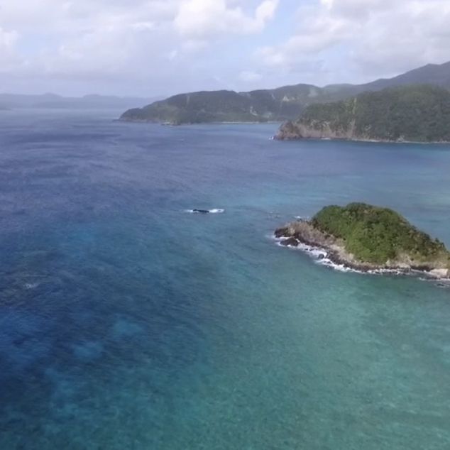 奄美大島でのんびりするならここ◡̈*.。