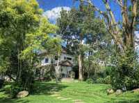 Wellness and Nature