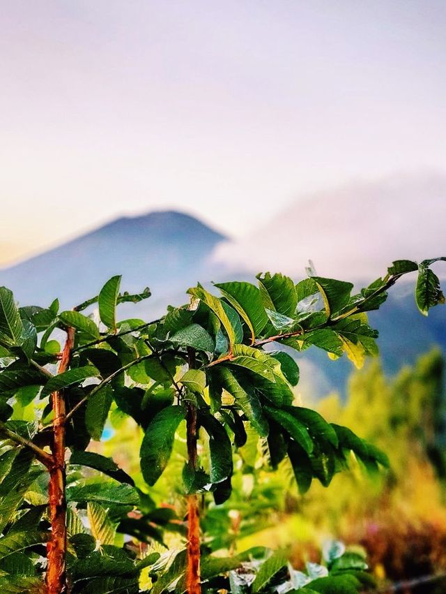 Sunrise trekking in Bali