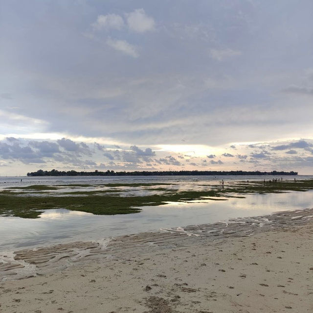 Sire beach