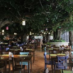Mogan mountain Kaiyuan Senbo Holiday Park · Rainforest Restaurant User Photo