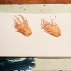 元吉 天婦羅張用戶圖片