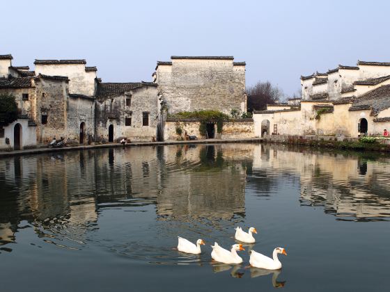 Yanjiang Ancient Town