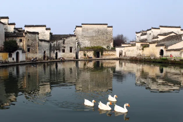 Разрешено размещения с домашними животными Отели в г. Лунань