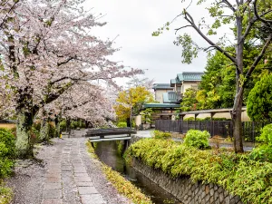 Tetsugaku No Michi