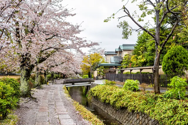 日本楓葉景點|京都賞楓 哲學之道