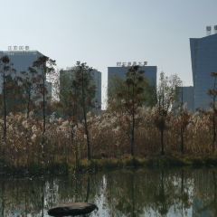 大鱼海棠(杨舍镇店) User Photo