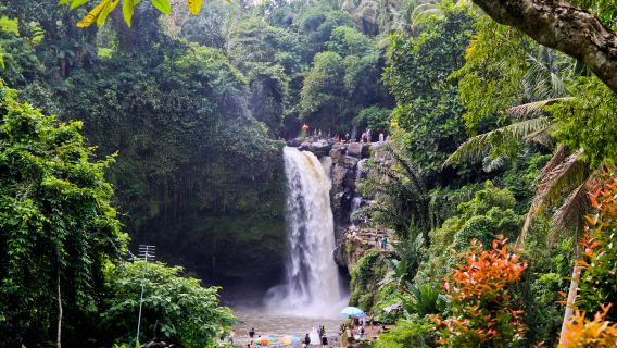 Bali: Tour 1 ngày ngắm cảnh thác rừng + Công viên Khỉ Thánh + Cung điện & Chợ Ubud