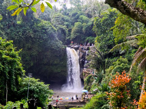 Tegenungan Waterfall