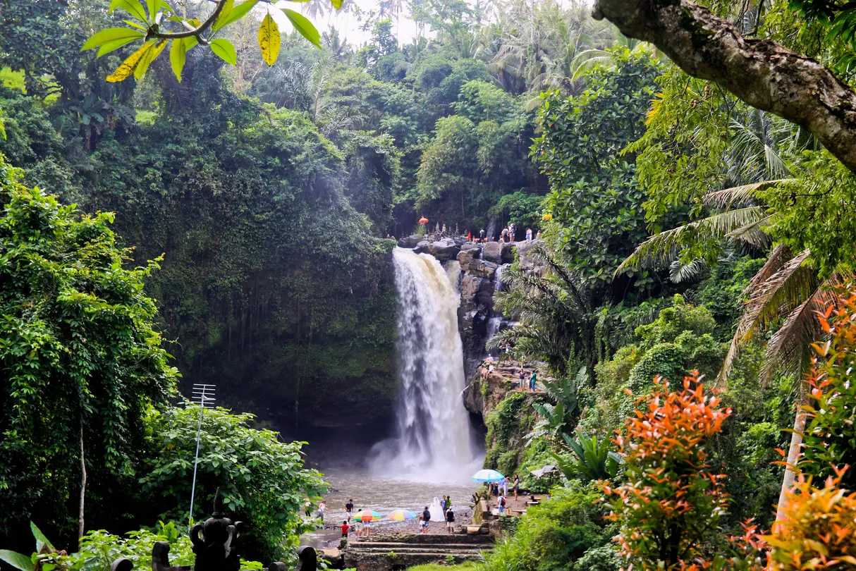 3_森林瀑布觀景