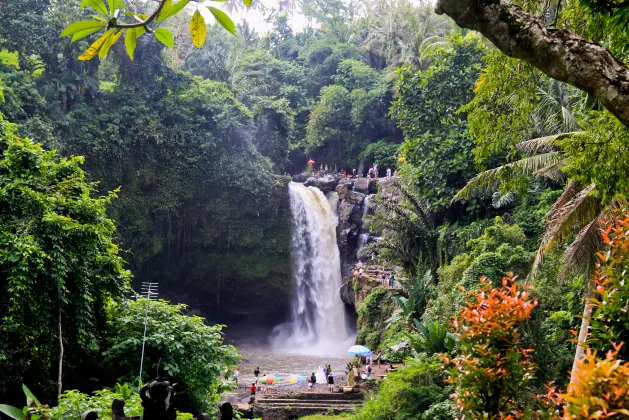 Класс люкс Отели в г. Бали