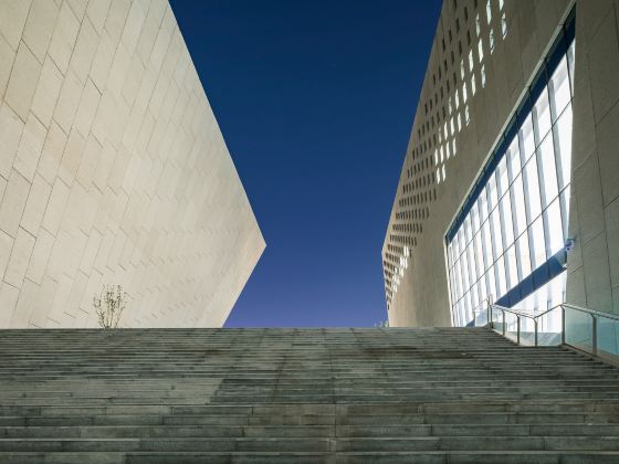 Zhengzhou Art Museum