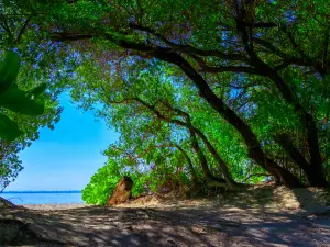 Santa Cruz Island