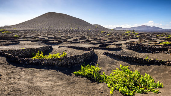 Lanzarote