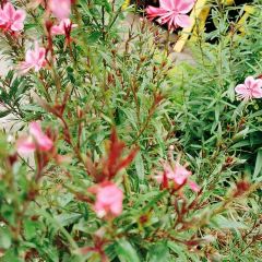 重庆聚义亭私人火锅 User Photo