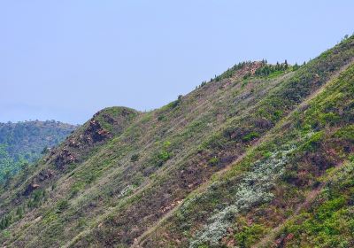 山葉口景區