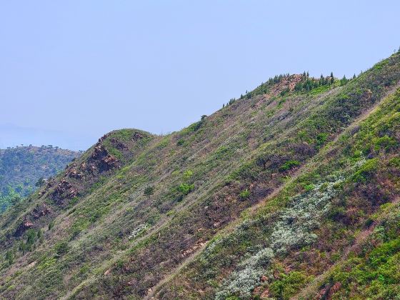 山葉口景區