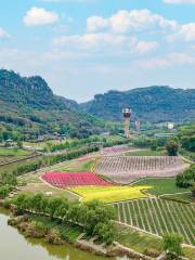 Qingxi Valley Tourist Area • Huatian Wineland Scenic Area