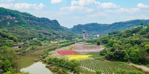清溪谷旅遊區-花田酒地景區