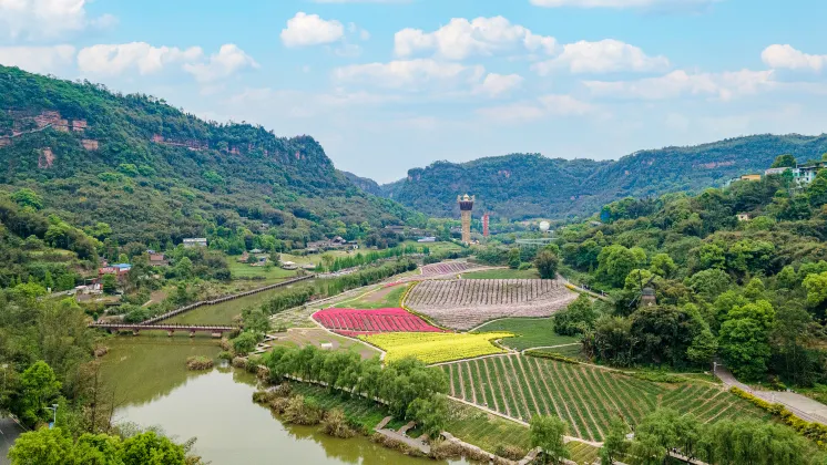 雲龍機場 飛 西雙版納