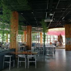 Little Panda Restaurant User Photo