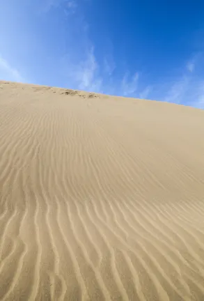 Flug nach Tottori