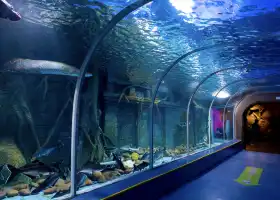 Guanlan Ocean World