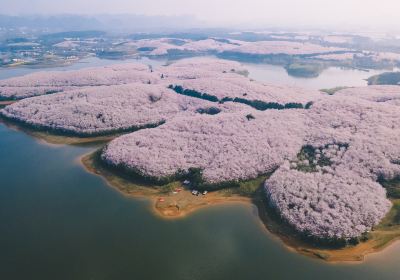 平壩農場