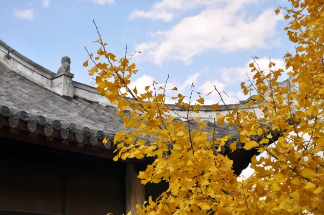 Hotel dekat Laoguangwangyuan Village