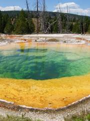 Morning Glory Pool