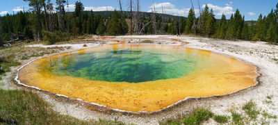 Morning Glory Pool