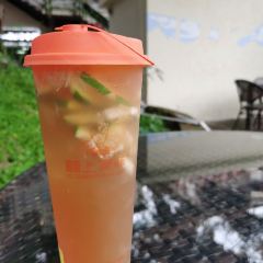 麦菲尔 User Photo