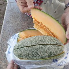 Kashi Ai Li Zha Ti Mansaf User Photo
