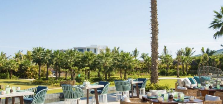 Arbol at Conrad Punta de Mita