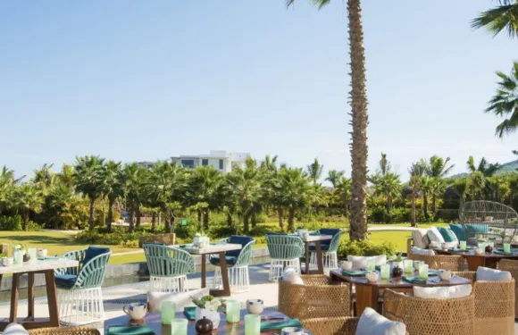 Arbol at Conrad Punta de Mita