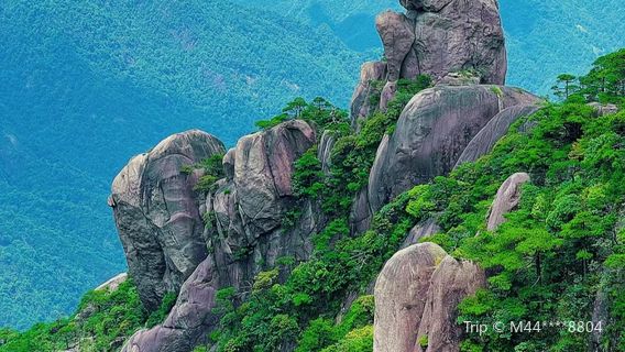 Monkey King Presenting Treature