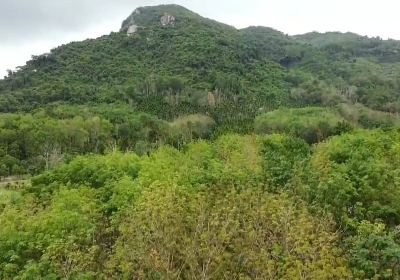 Wolong Mountain of Tuchang of Hainan