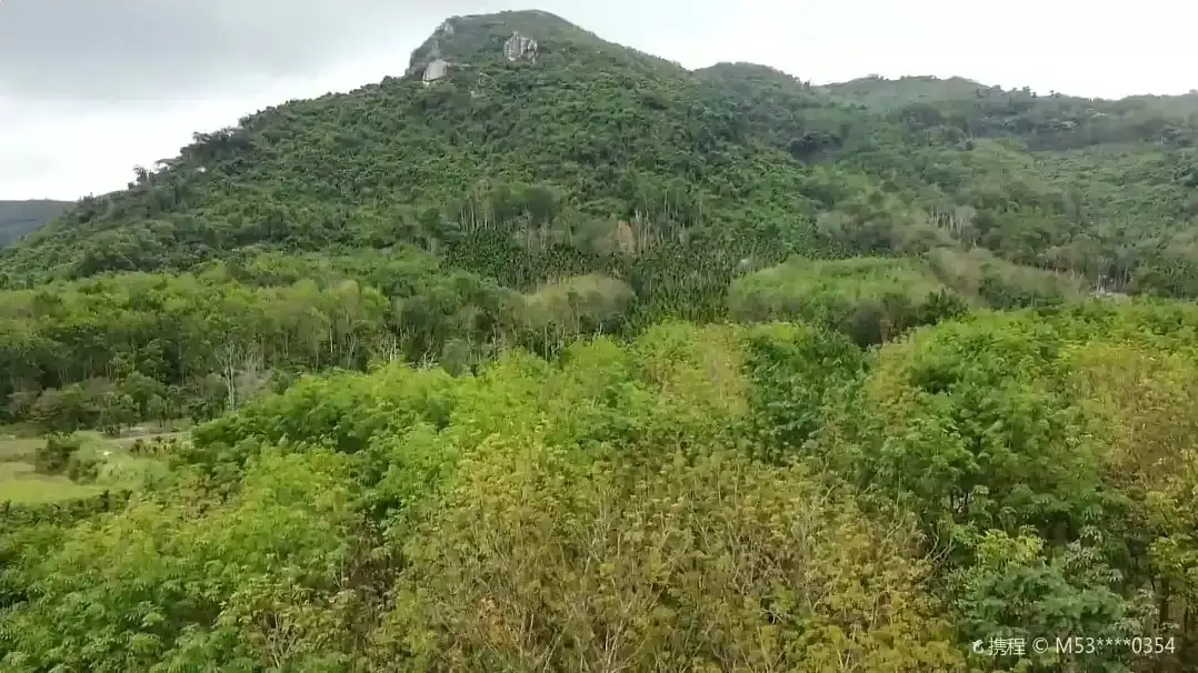 Hotels near Wolong Mountain