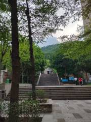 銅鼓嶺市級森林公園