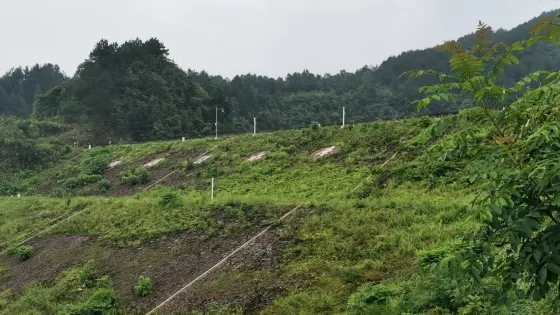 洋碼頭水庫