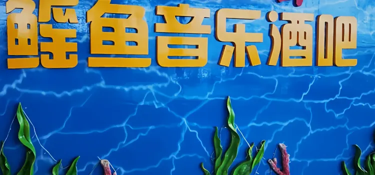 分界洲島鰩魚音樂酒吧