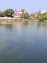 Dimsagar Lake Park