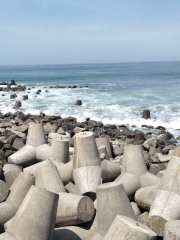 Pemecah Ombak Pantai Glagah