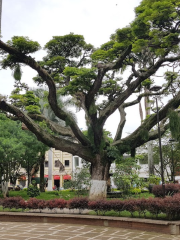 インデペンデンシア公園