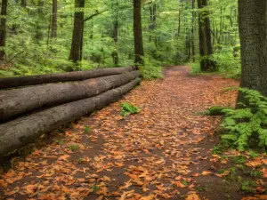 S.B. Elliott State Park